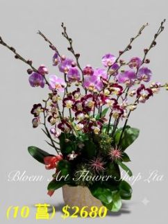 Table Arrangement - Premium CODE 63788